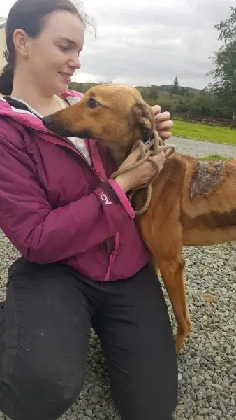 received 1529890070435924 1