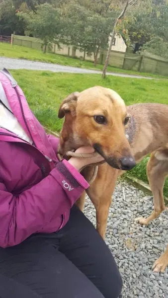 received 1529890107102587 1