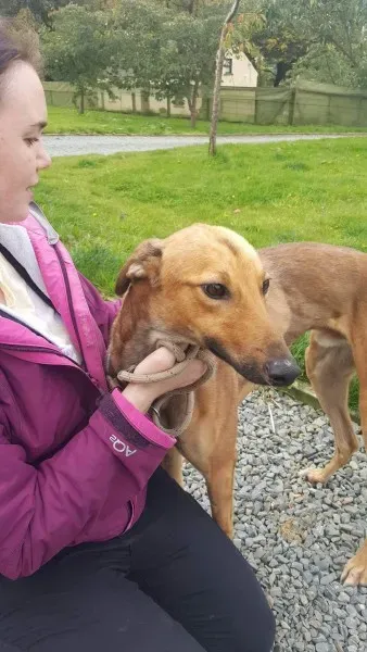 received 1529890110435920 1