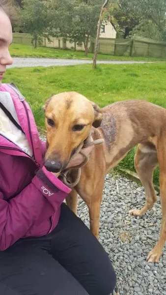 received 1529890113769253 1