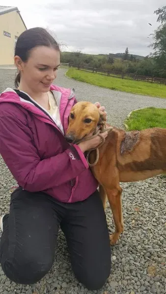 received 1529890117102586 1