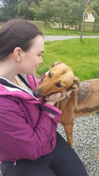 received 1529890120435919 1