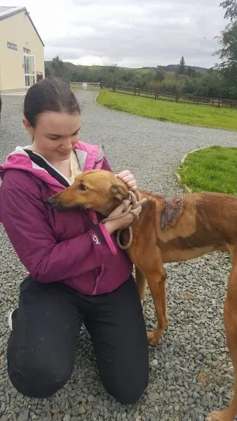 received 1529890203769244 1