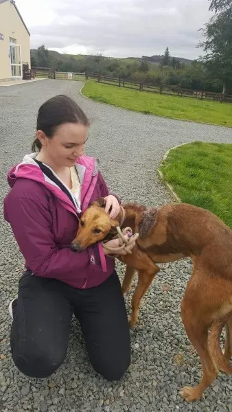 received 1529890237102574 1