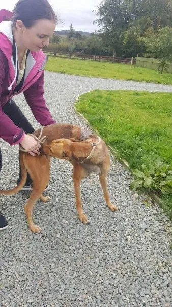 received 1529890267102571 1