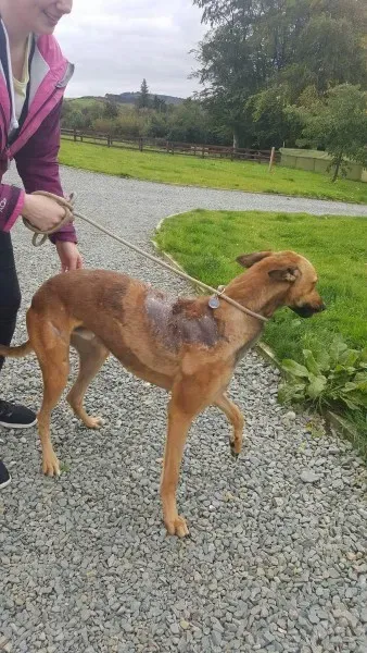 received 1529890303769234 1