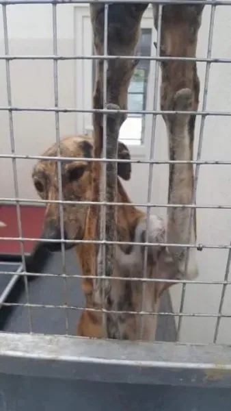 received 1530155900409341