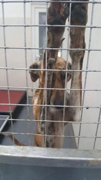 received 1530155940409337