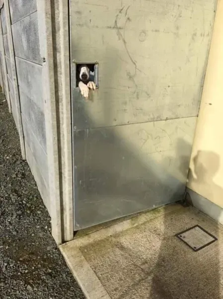 received 1530455143712750