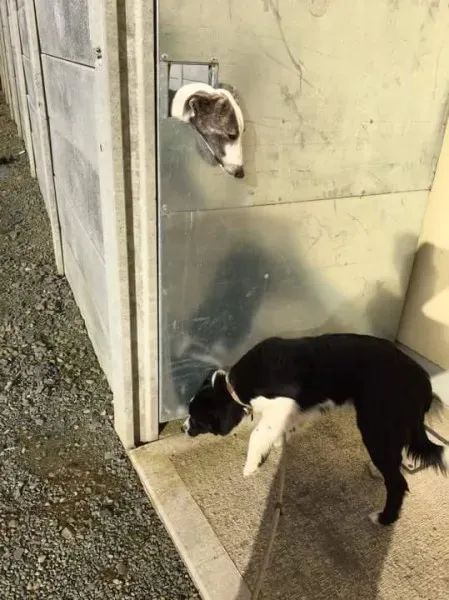 received 1530455193712745