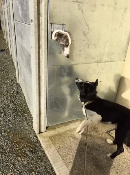 received 1530455310379400