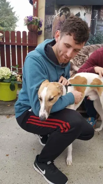 received 1532175856874012