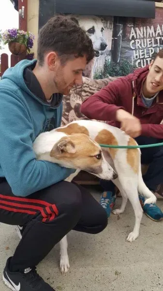 received 1532175973540667