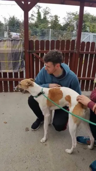 received 1532176040207327