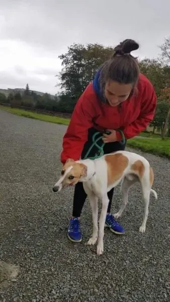 received 1532176063540658