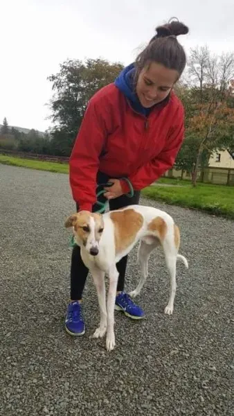 received 1532176076873990