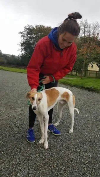 received 1532176136873984