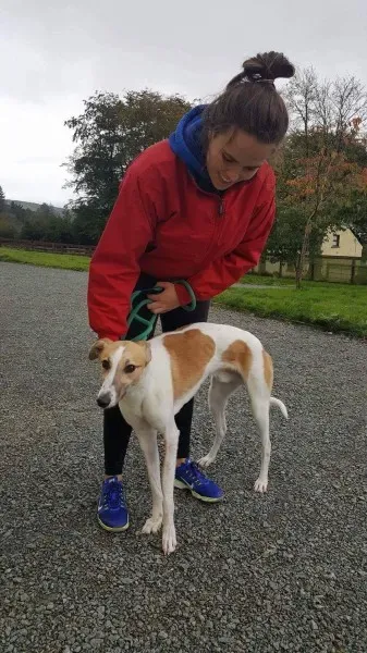 received 1532176180207313