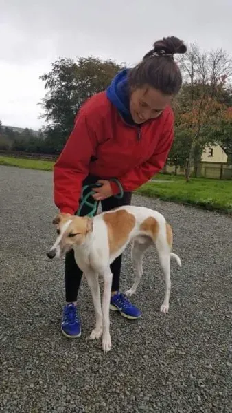 received 1532176223540642