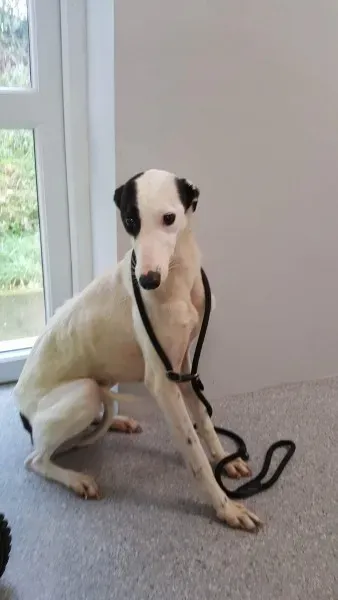 received 1540670186024579