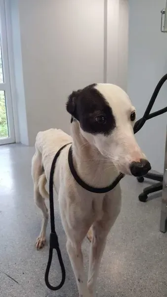 received 1540670389357892