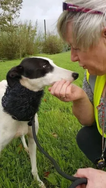 received 1540703282687936