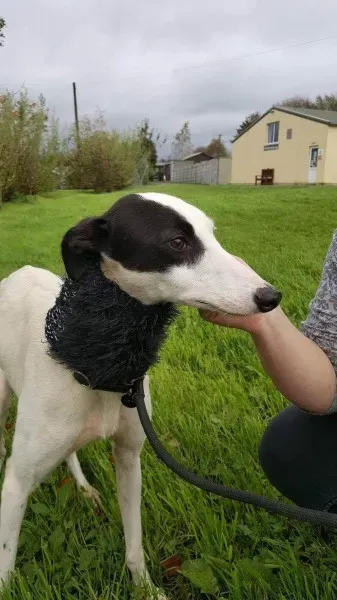 received 1540703356021262