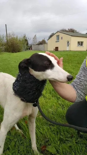 received 1540703392687925