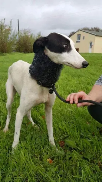 received 1540703409354590