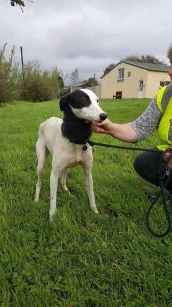 received 1540703569354574