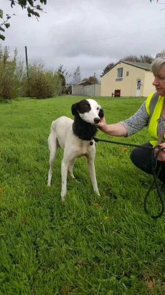 received 1540703586021239