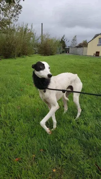 received 1540703672687897