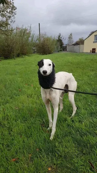 received 1540703862687878