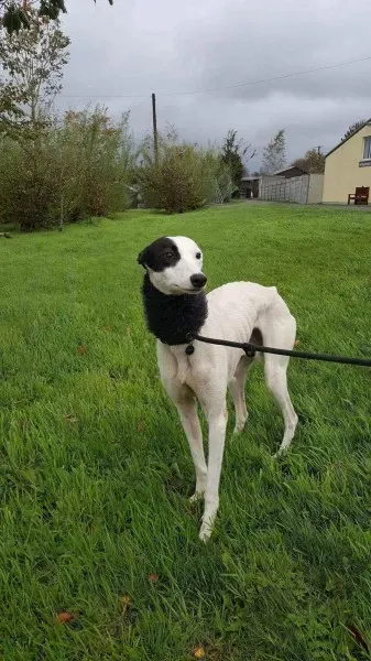 received 1540703912687873