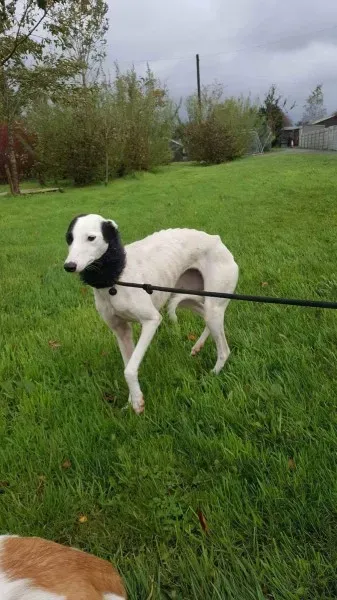 received 1540704072687857