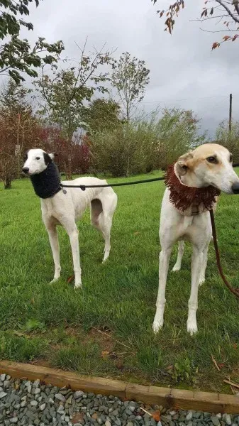 received 1540705009354430