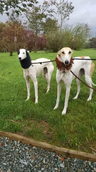 received 1540705106021087