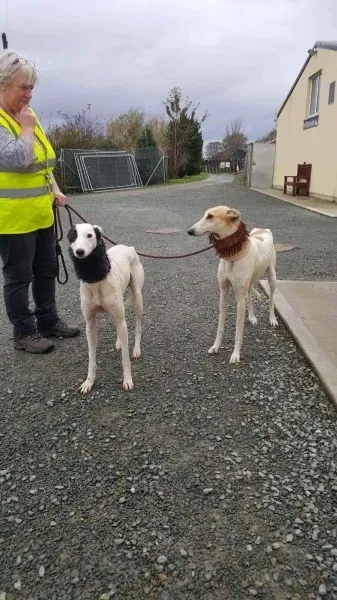 received 1540705316021066