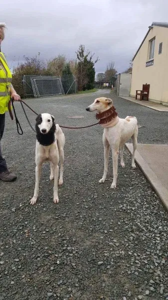 received 1540705346021063