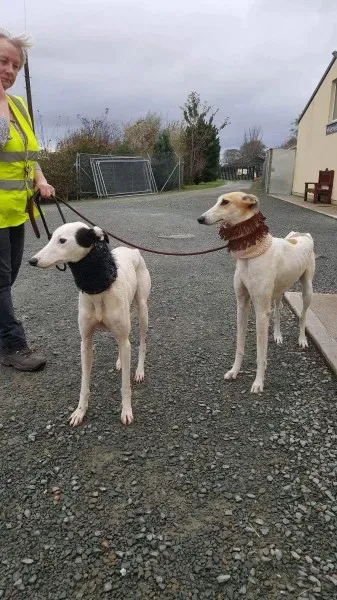 received 1540705362687728