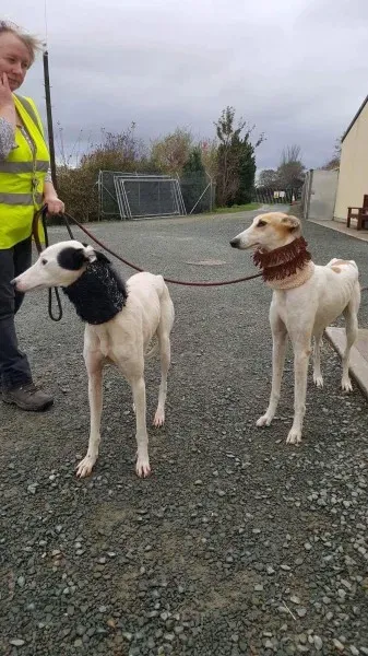 received 1540705372687727