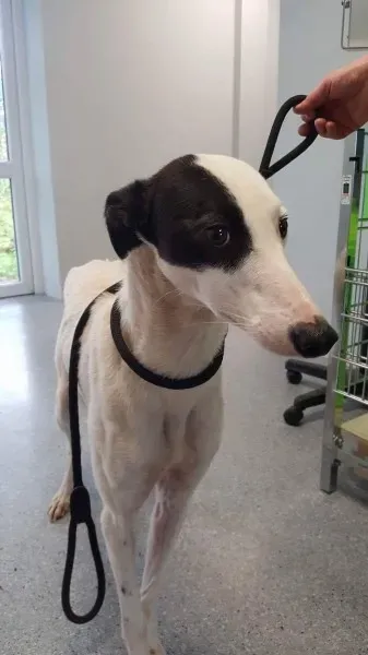 received 1540705416021056