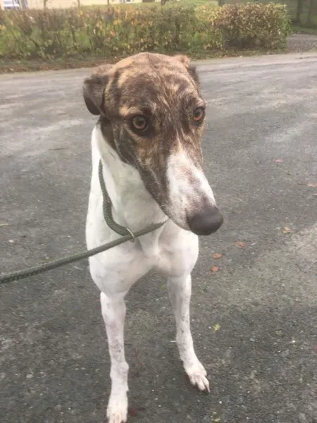 received 1550035445088053