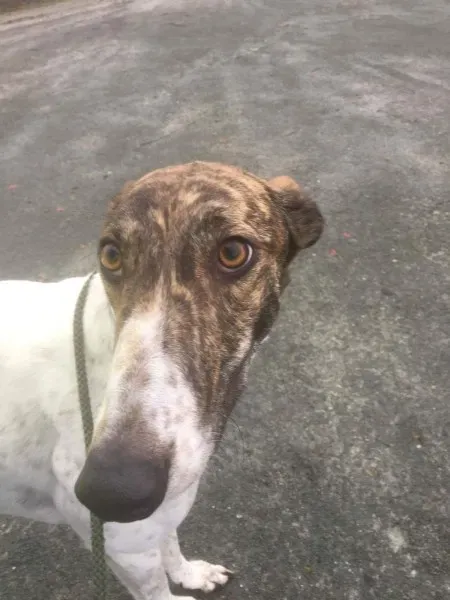 received 1550035575088040