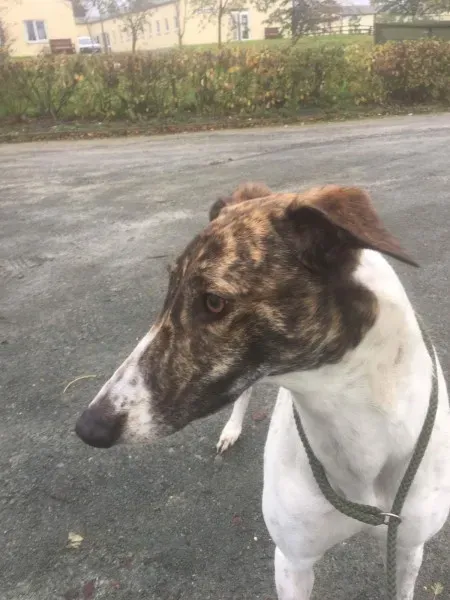 received 1550039581754306