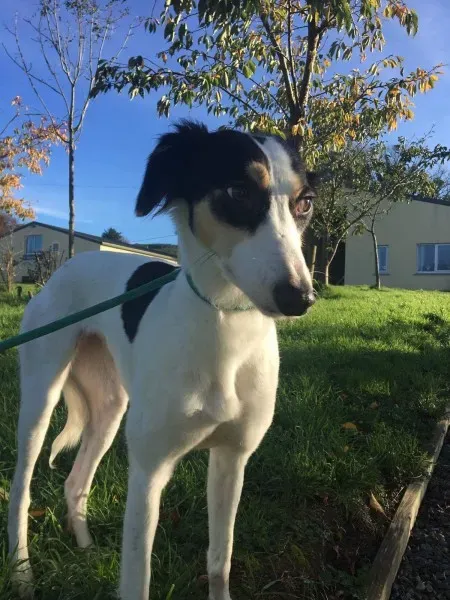 received 1551110044980593