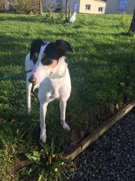 received 1551110154980582