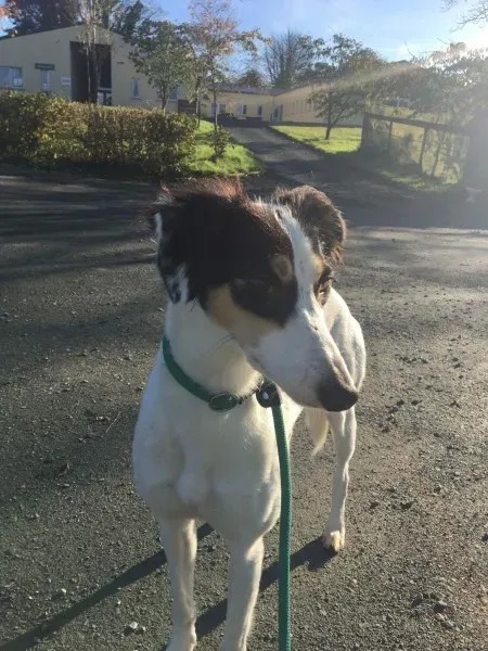 received 1551110311647233