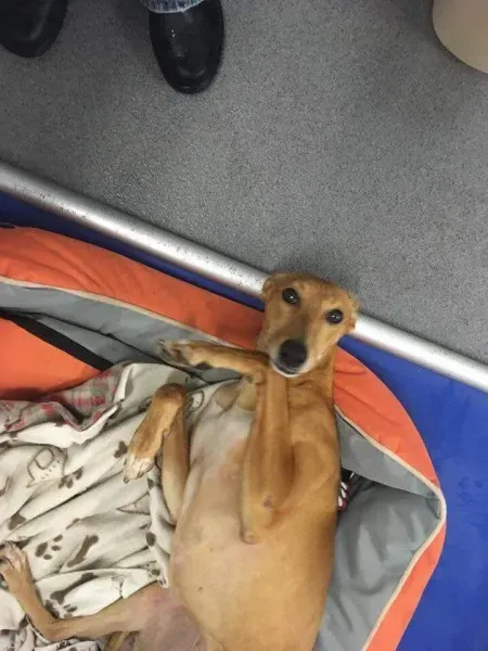 received 1626010864157177