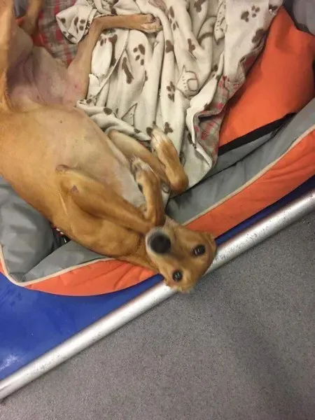 received 1626010880823842